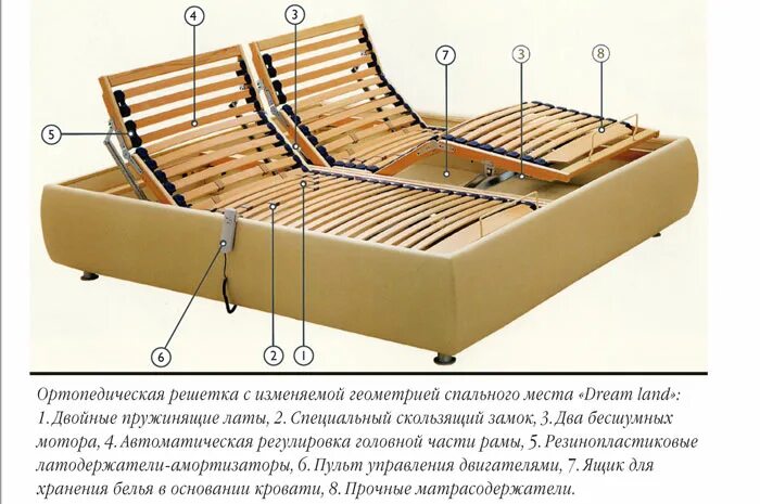 Сколько выдержит кровать. Ортопедическое основание для кровати 140х200. Кровать с ортопедическим конструкциям. Анатомическое основание кровати. Кровать с изменяемой геометрией.