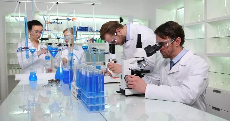 T laboratory