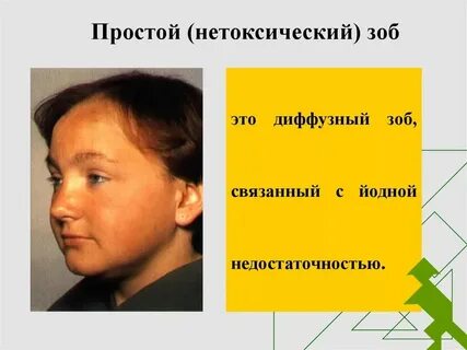 Зоб у червей