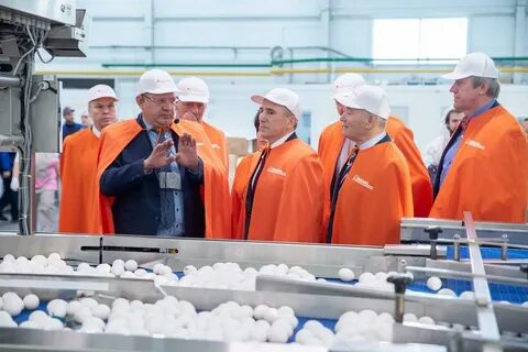 Птицефабрика пышминская