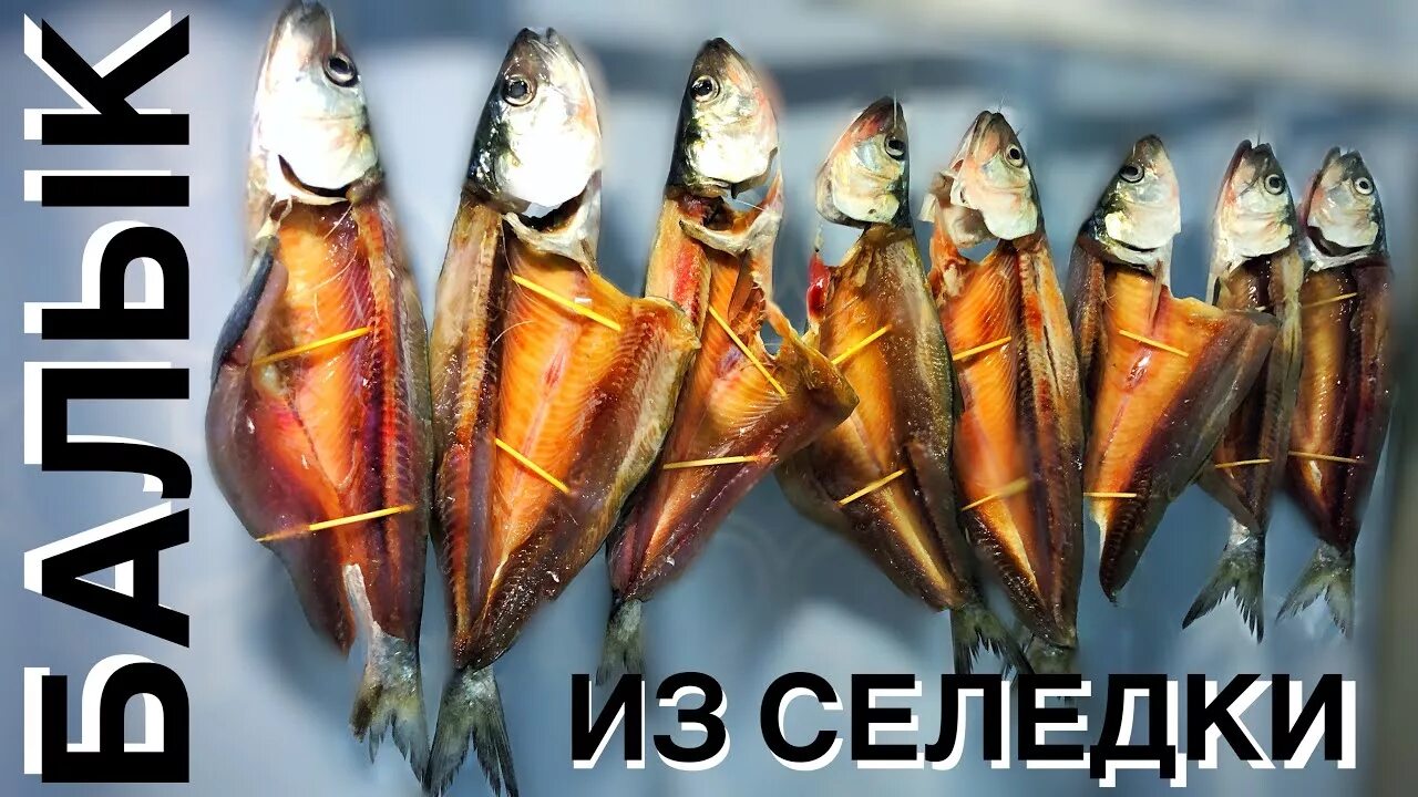 Балык из селедки. Балык донская селедка. вяленая селедка. каспийская сельдь балык.