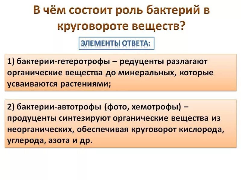 В круговороте веществ бактерии выполняют роль