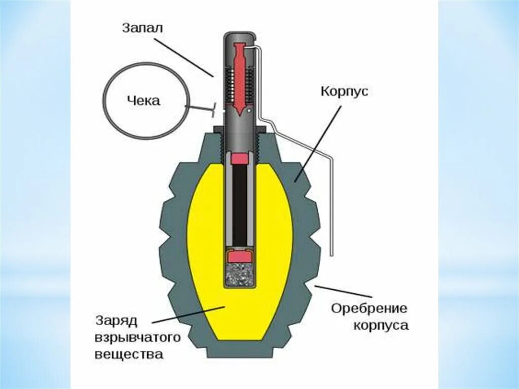 Устройство гранаты ф1. Граната ф1 технические характеристики. Граната ручная ф1 состав. Ручная осколочная граната ф-1.