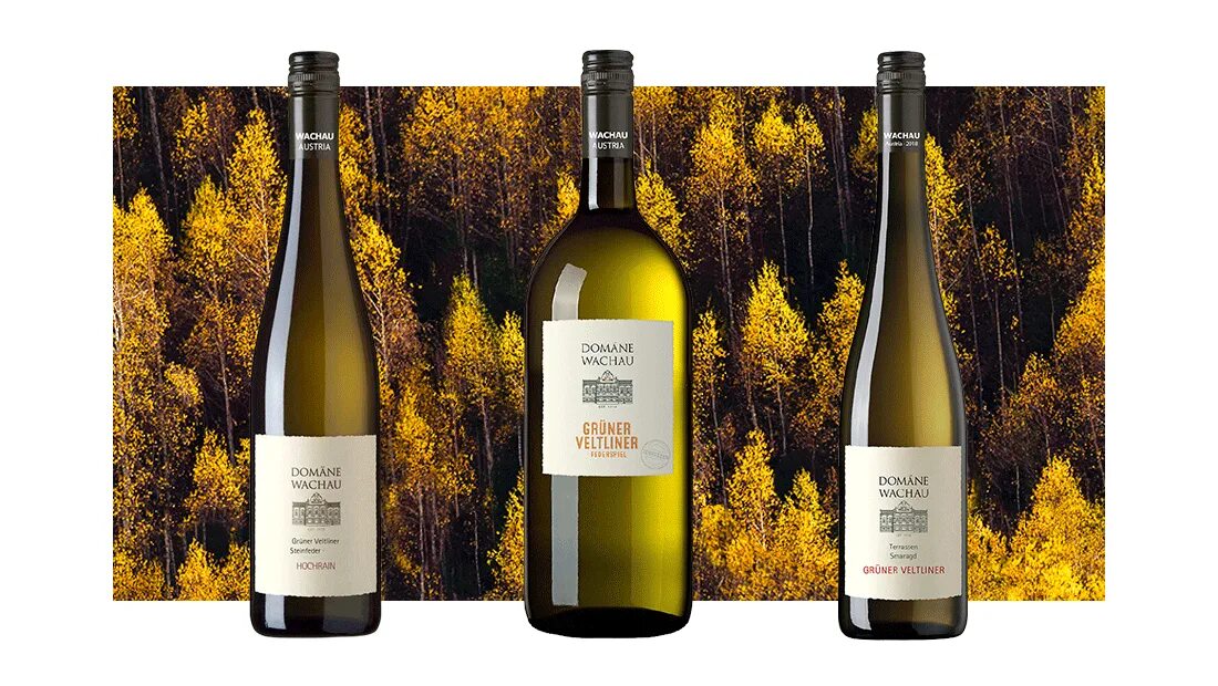 Отзыв о Вино белое сухое Weinlandkeller "Gruner Veltliner" Osterreich Ммм, австр