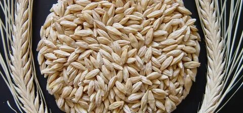 Анимацияланған кеуделер