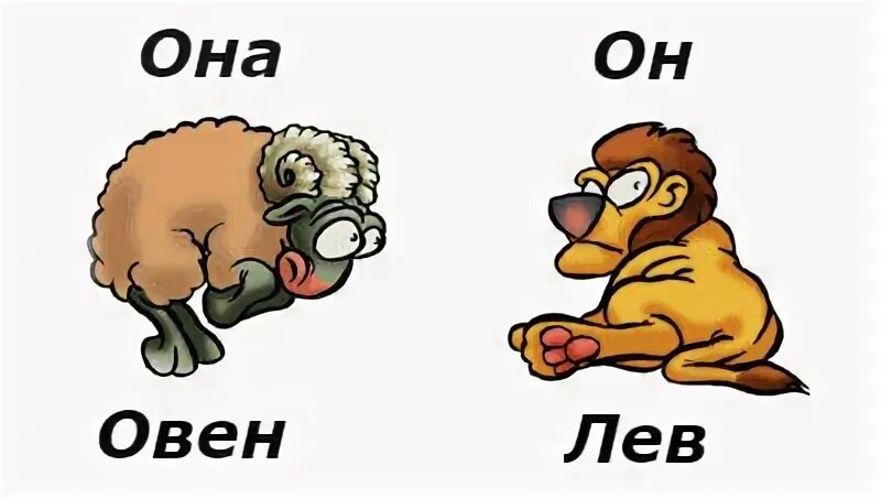 Мужчина лев и женщина овен