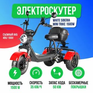 White siberia trike
