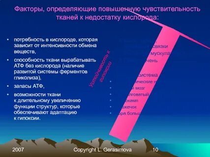Наиболее чувствительны к недостатку кислорода клетки