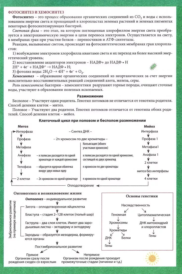 Шпаргалки по биологии ЕГЭ 2021. Шпаргалки для ЕГЭ по биологии 2022. Шпаргалка по биологии генетика ЕГЭ. Шпаргалки по биологии ОГЭ 2022 для печати.