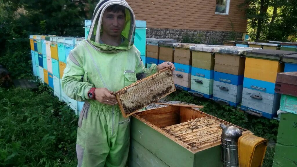 Видео пчеловодство новинки. Пасека Кучаевых. Девушка пчеловод. Современная пасека. Новая пасека.