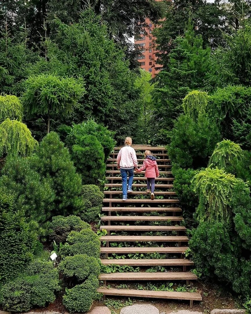 ботанический сад аптекарский огород москва. аптекарский сад мгу москва. ботанический сад аптекарский огород москва. сад мгу аптекарский огород. ломоносова «аптекарский огород».