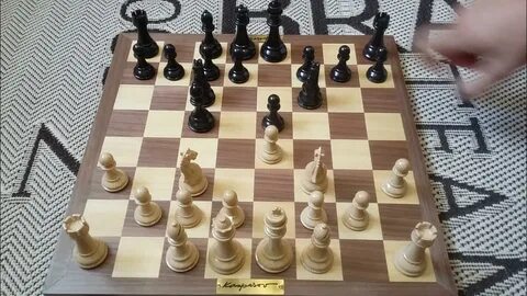 Шахматы для начинающих картинка