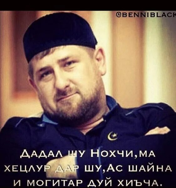 Что значит нохчи на чеченском. Нохчи. чеченский нохчо. нохчи фото. хизир зубайраев.