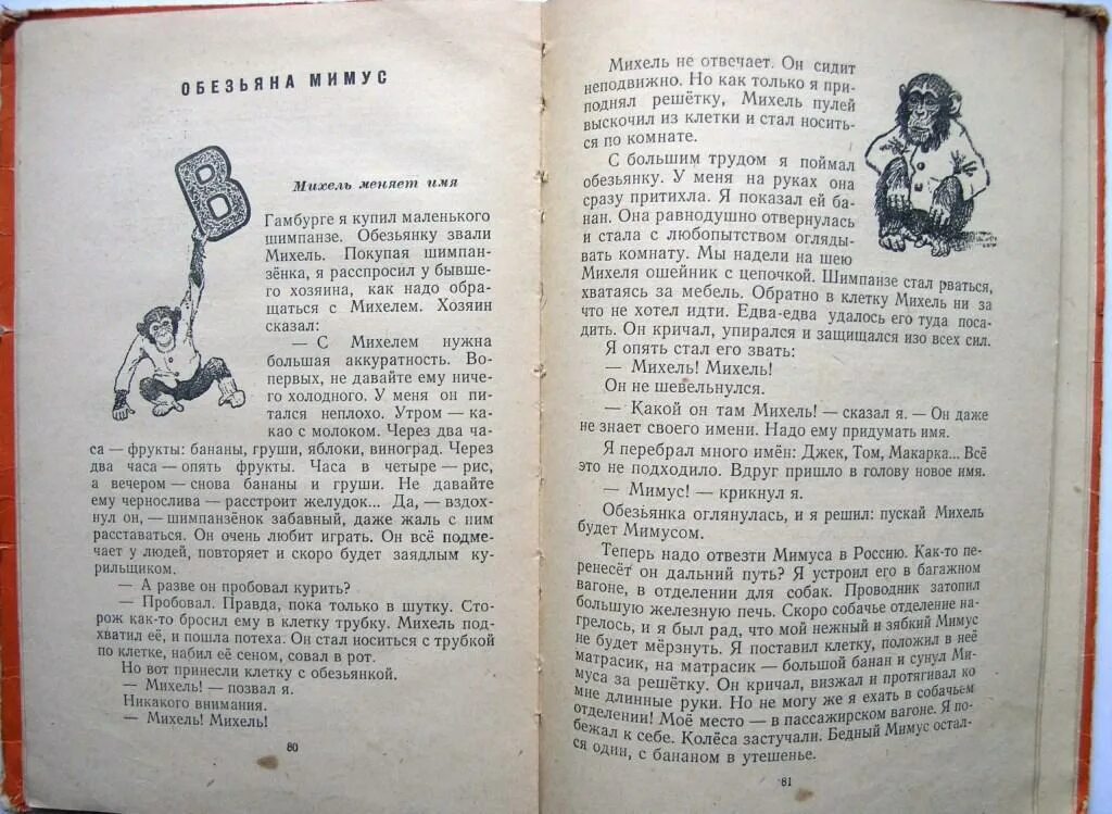 В Дуров Мои звери обезьянка. Дуров обезьяна Мимус. Обезьянка Мимус Дуров читательский дневник. Дуров читательский дневник