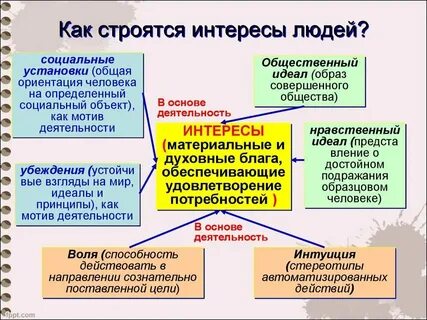 Интерес к человеку это