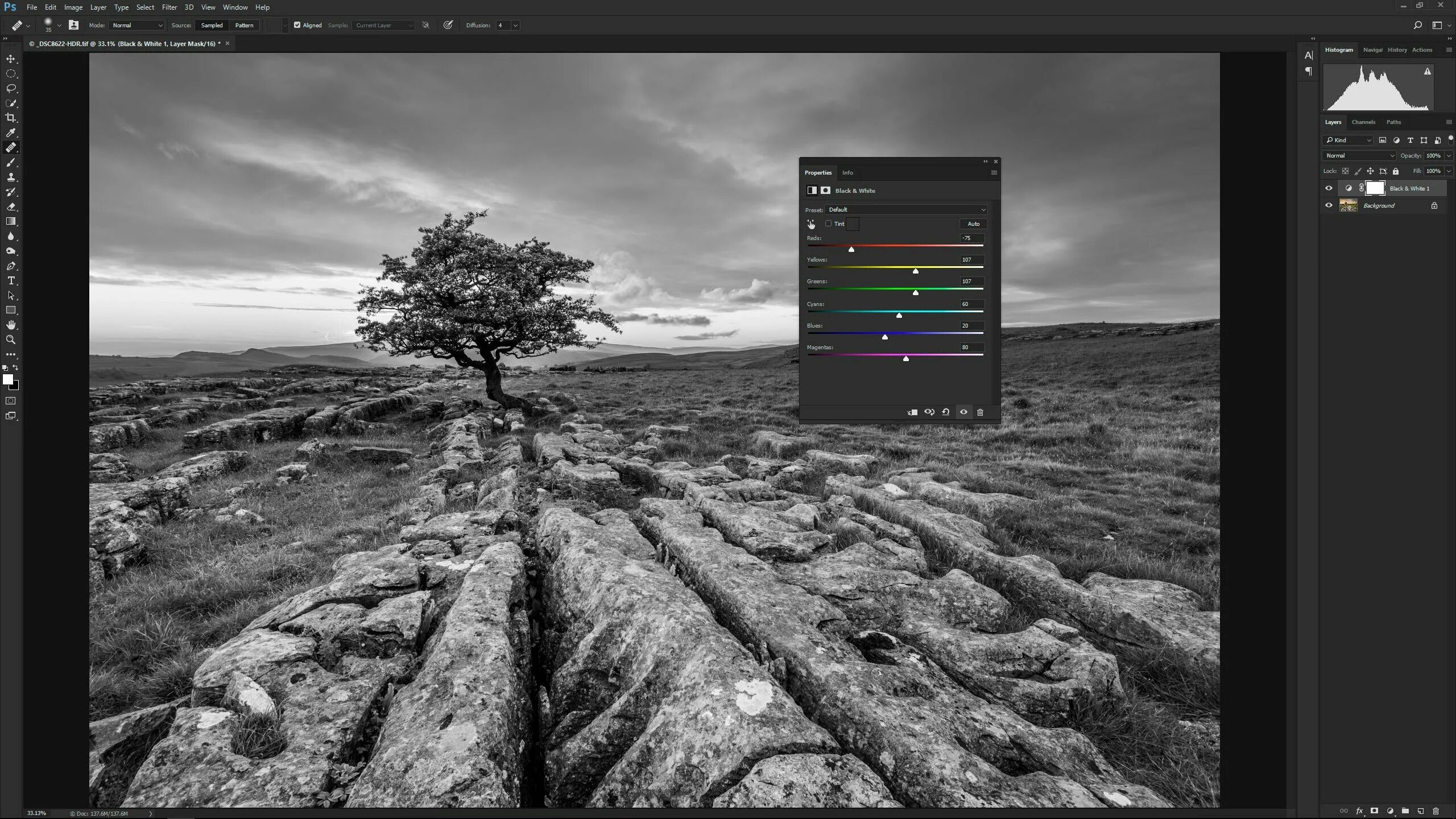 Черно белые в цвет программа. Программа для обработки чёрно-белых фотографий. чб в фотошопе. как в лайтруме сделать черно белую фотографию. фото для фотошопа для adobe photoshop.