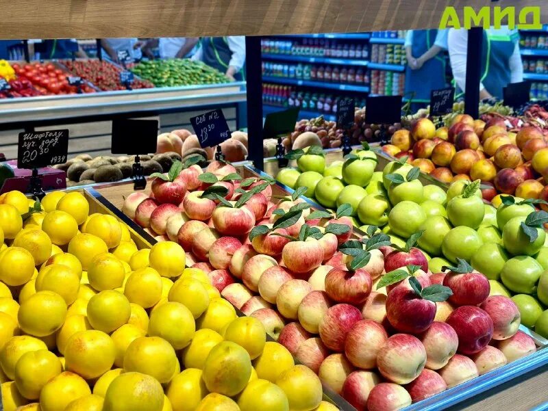 супермаркет амид в худжанде. амид в худжанде на 13 мкр. супермаркет амид в худжанде. супермаркет амид худжанд новый. супермаркет амид в худжанде.