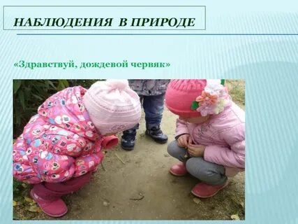 Наблюдение за дождевым червем