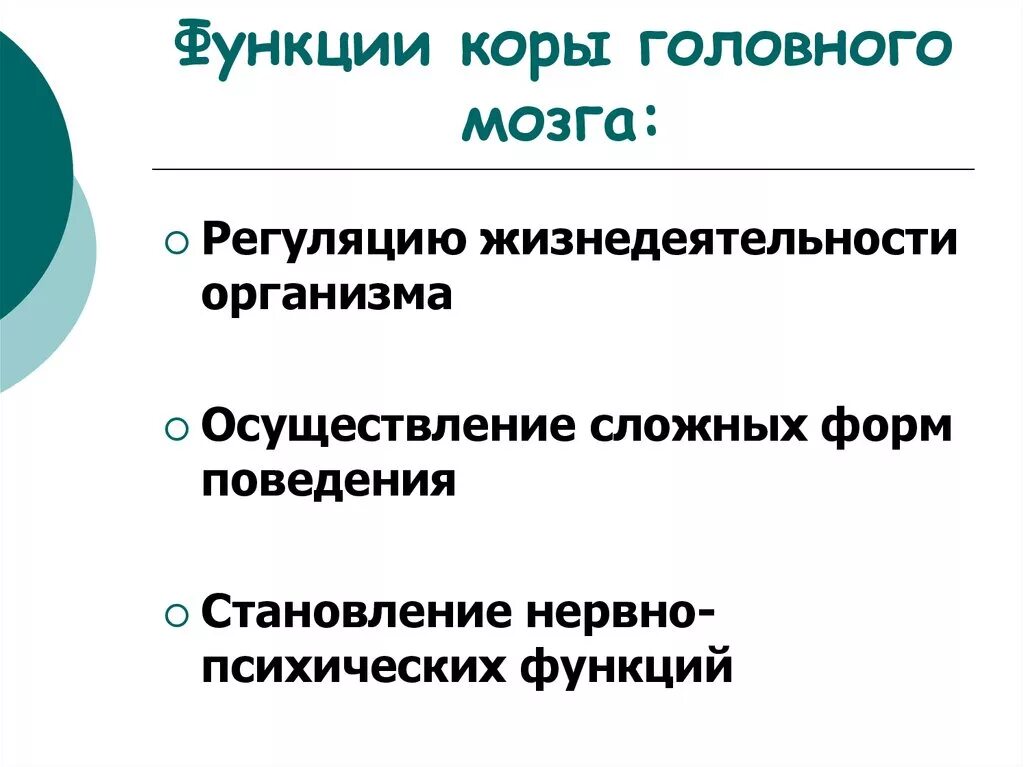 Функции головной коры. Караголовного мозга функции. Функия Корв головного мозга.