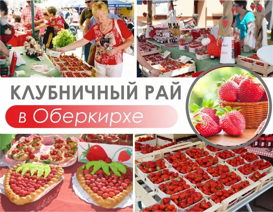 Рай клубники. Клубничный рай. Клубничный рай в зиги. Мариинские поля клубника. Клубничный рай брянск.