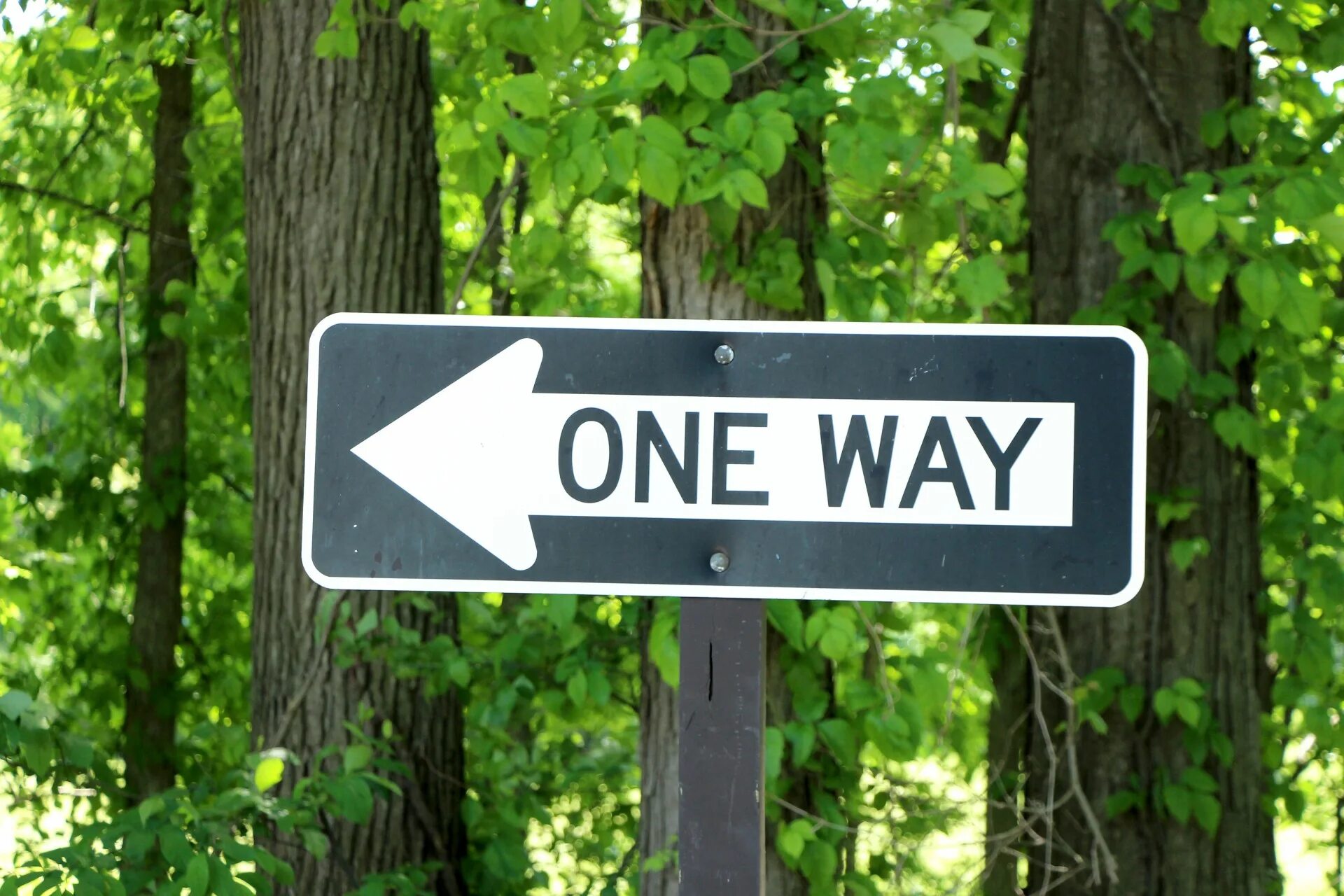 First way. One way указатель. знак one way. one way табличка. one way знак дорожный.