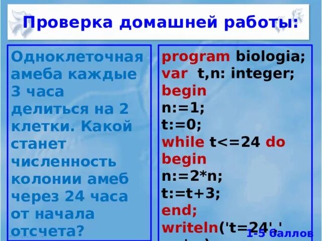 Одноклеточная амеба каждые три часа делится на 2. Одноклеточная амеба каждые три часа делится на 2 клетки. Одноклеточная амеба каждые 3 часа. Одноклеточная амеба каждые 3 часа делится на 2 клетки Паскаль. 24 часа делятся на