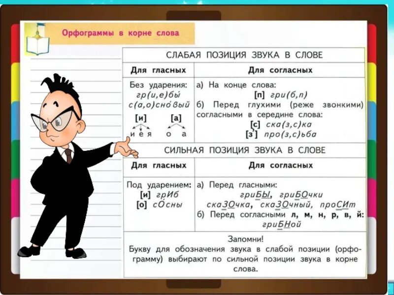 Орфограммы. Сильные и слабые позиции звуков. Орфограммы 2 класс. Орфограммы 1 класс.