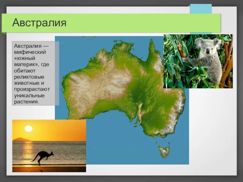 Где обитает материк. Ареал обитания барсуков. Где живет зубр материк. Отряд мозоленогие представители. Животные по континентам для детей.