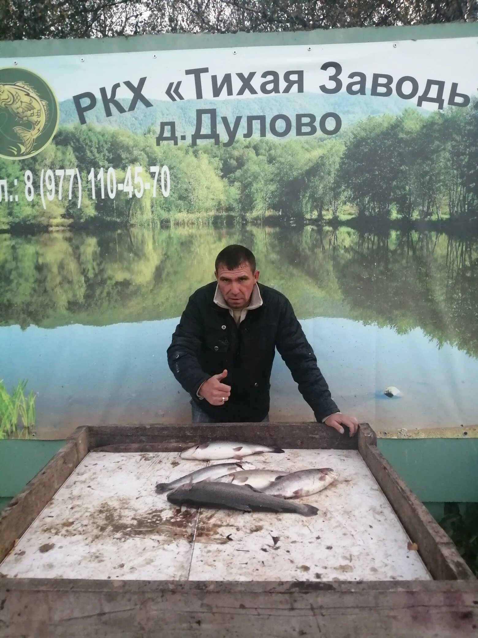 Платная рыбалка дулово. Рыбалка в Дулово Чеховский район Тихая заводь. Тихая заводь Щеглятьево рыбалка. Тихая заводь платная рыбалка. Тихая заводь рыбалка Домодедовский район.