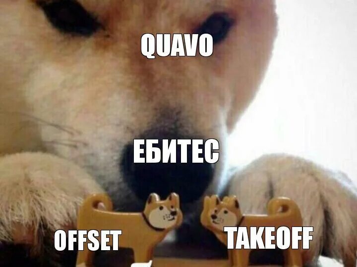 Мем ебитес. Ебитес мем. Ебитес мем. Мем ебитес. Собака из мема ебитес.