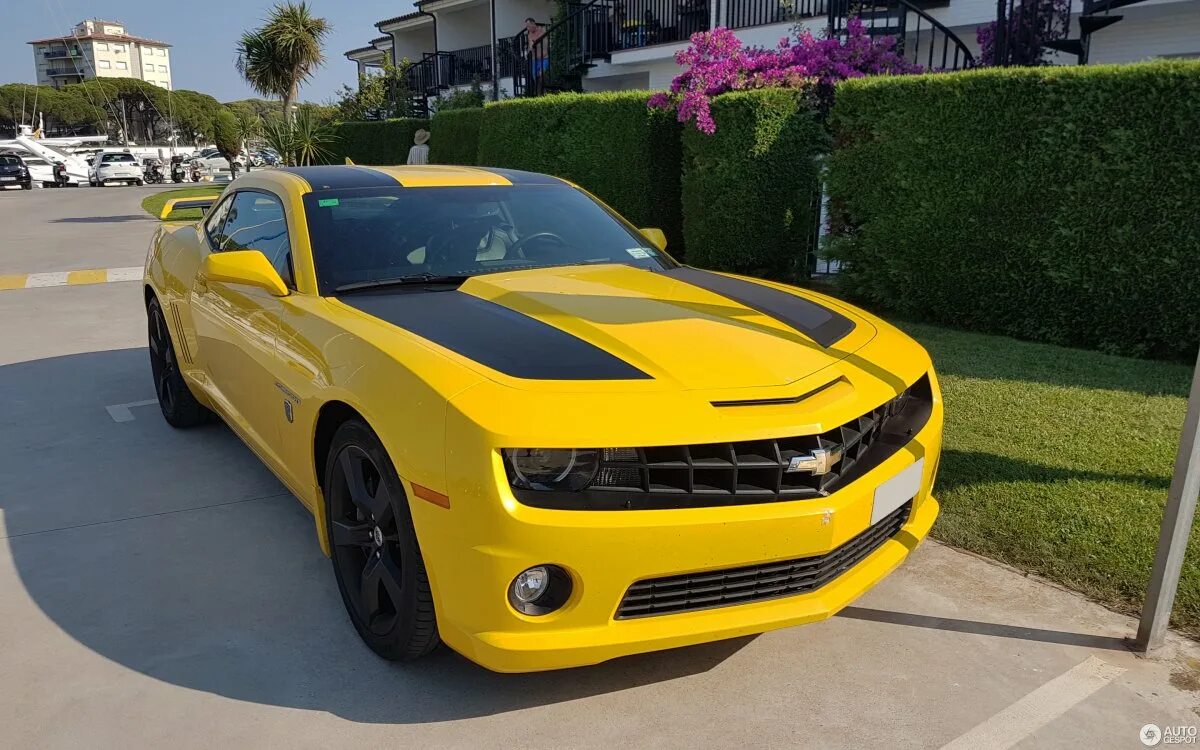 Купить шевроле м. Chevrolet Camaro 2012. Шевроле Камаро SS 2012. Шевроле СС Шевроле Камаро. Chevrolet Camaro SS 2012 желтый.