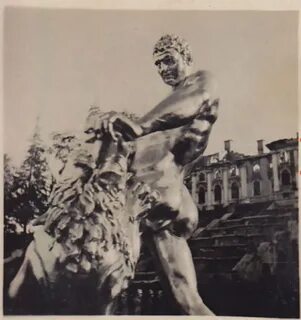 Сам сон ли
