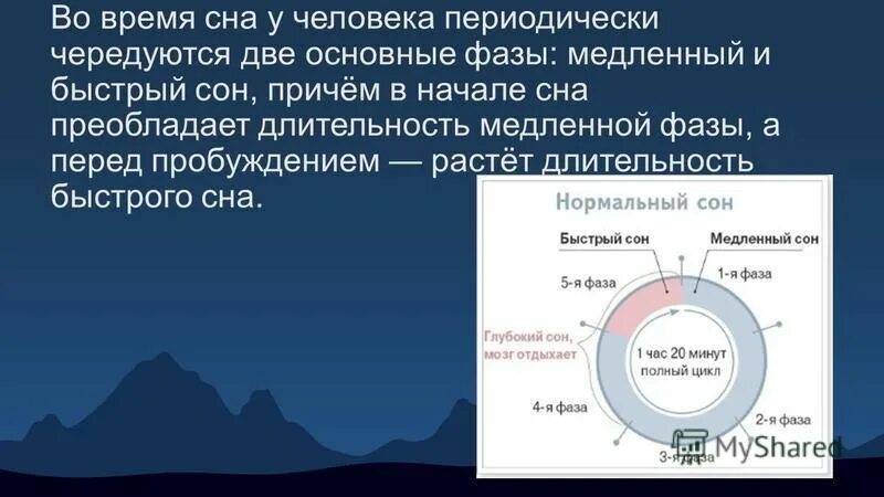 Фазы сна калькулятор. Теории сна физиология. продолжительность медленного сна. природа сна. быстрый и медленный сон.. фаза сна перед пробуждением.