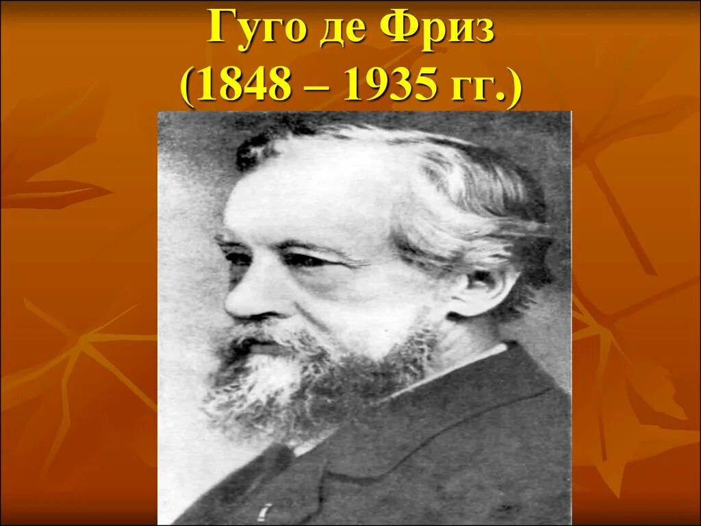 Х де фриз. Ученый г де фриз. Гуго де фриз 1848–1935 гг.. Де фриз генетика. Хуго де фриз нидерландский биолог.