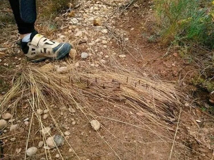 Попали в смертельную ловушку