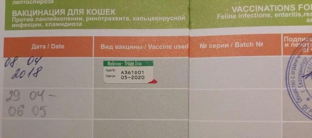 Первая прививка котенку возраст. Прививки для кошек. Календарь прививок для кошек. Прививки для кошек календарь. Прививки для котят календарь.