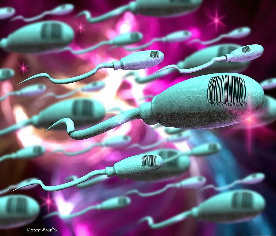 Oneplus клонирование. Dna 100 чип. терапевтическое клонирование схема. волновой фантом днк. Oneplus клонирование.