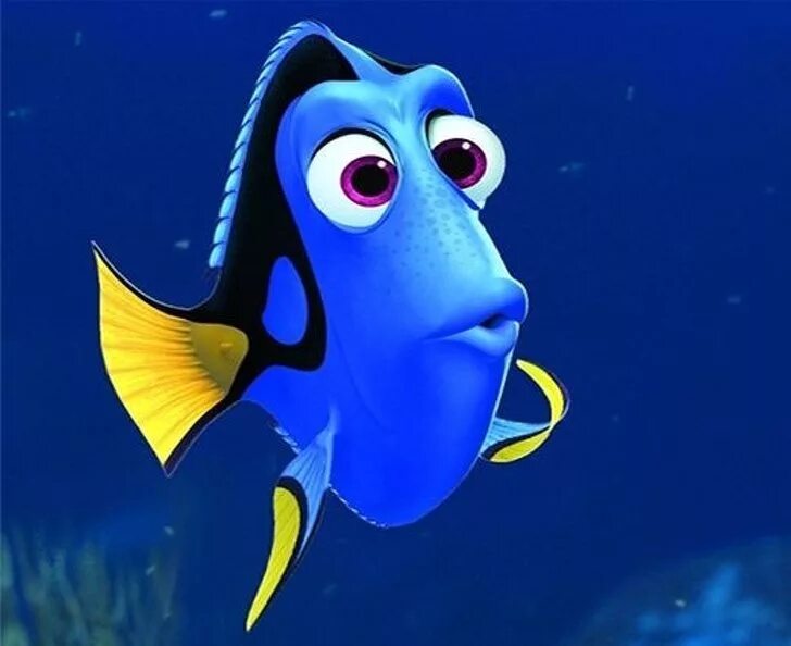 Рыбка дори. Рыбка дори. Рыбка дори из мультика. Рыбка дори. Рыбка дори из мультика.