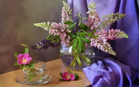 Сколько стоят люпины в вазе