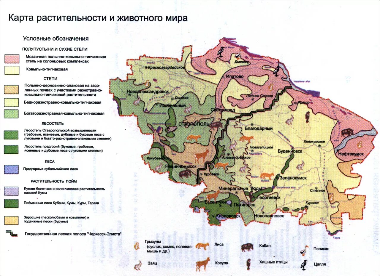 В каких природных зонах расположен ставропольский край. Растительность ставрополя карта. карта растительности ставропольского края. карта природных зон ставропольского края.