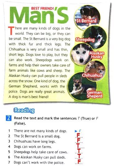 Mike has a small dog перевод. There are many kinds of Dogs. Read and write the name of the animal 5 класс. Dogs are 4 класс. There are many kinds of Dogs перевод.