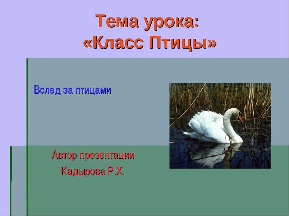 Отряды птиц презентация. Класс птицы урок 7 класс. Птицы урок 7 класс. Особенности класса птиц. Характеристика класса птицы.
