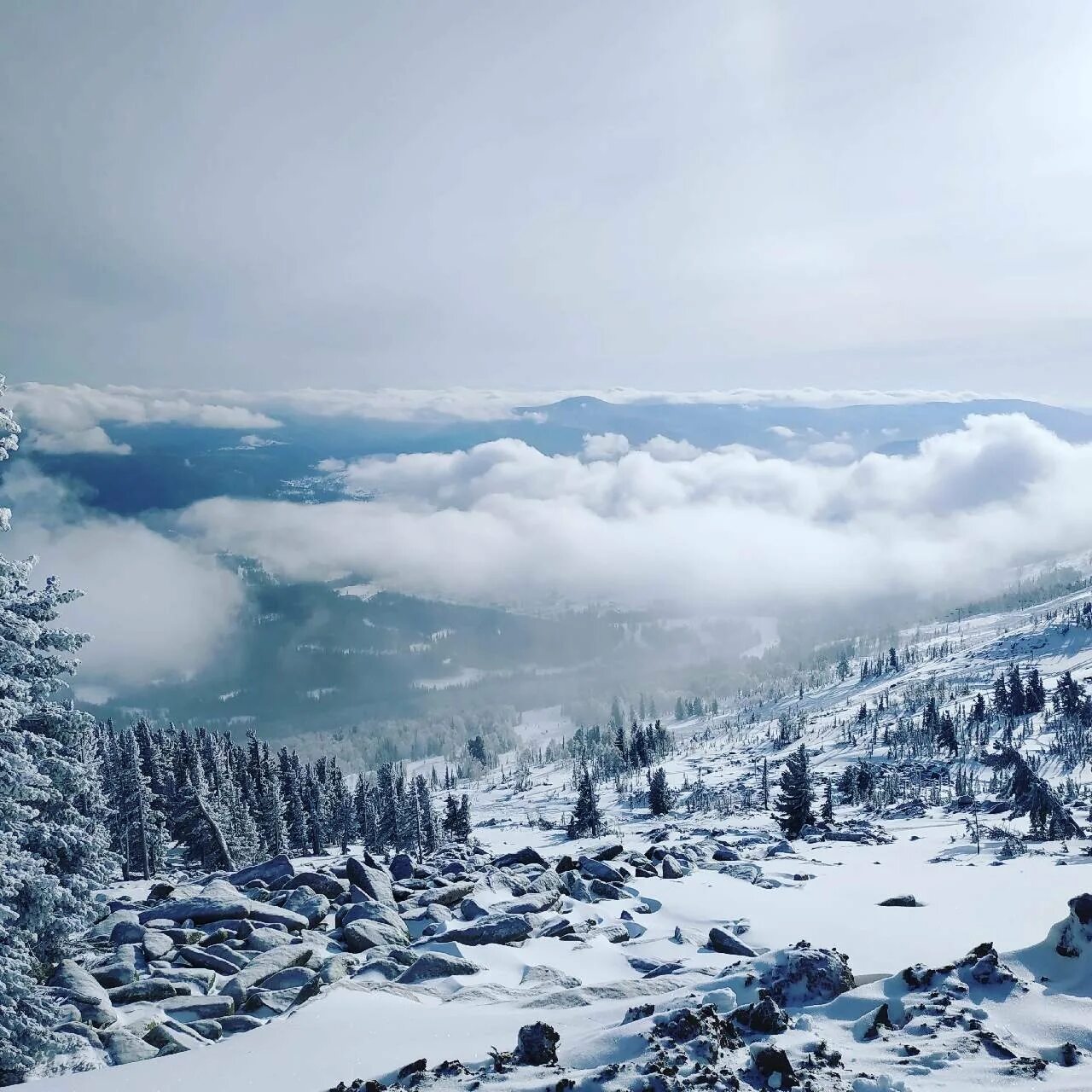 Зимний шерегеш. Горная Шория Шерегеш. Гора зеленая Горная Шория. Гора зеленая Шерегеш. Горная Шория гора Мустаг.