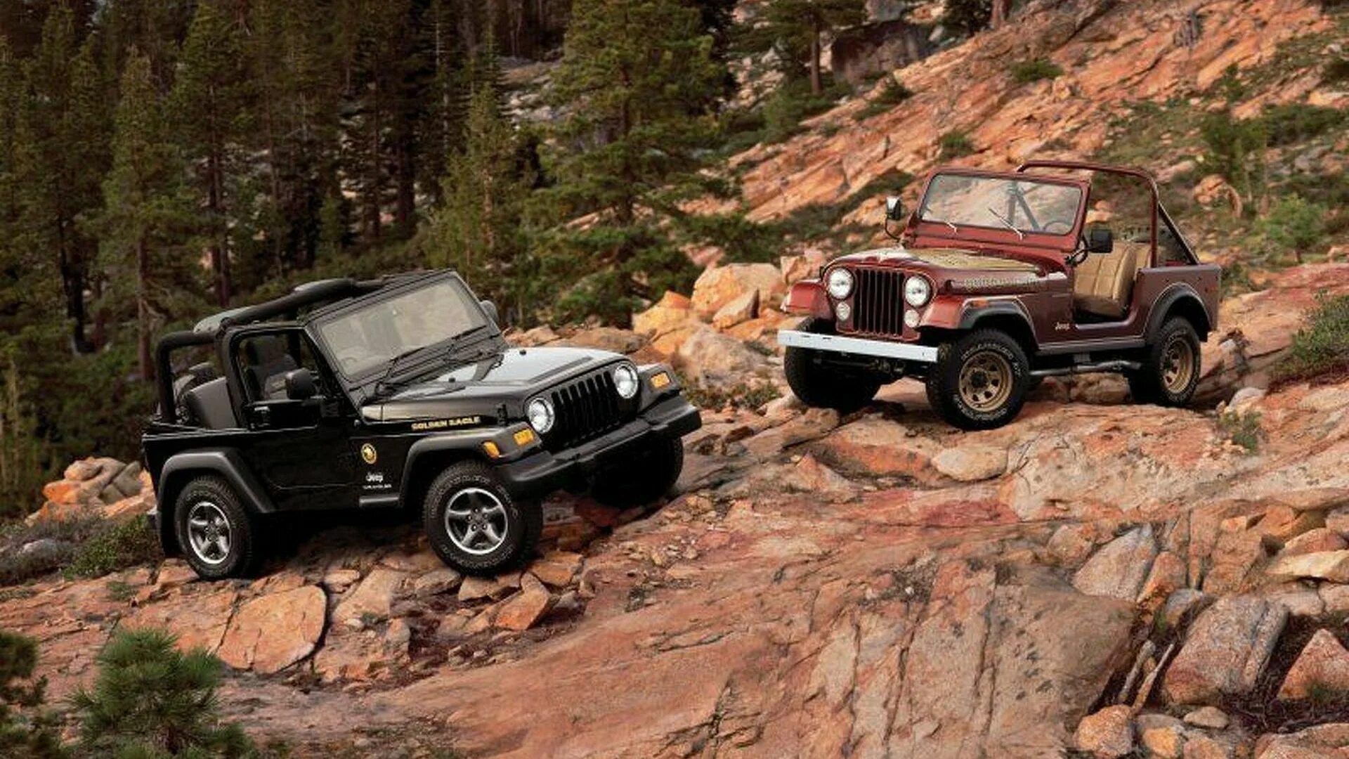 Jeep wrangler 1 6 scale. Jeep wrangler golden eagle. jeep wrangler золотой. лимитированные версии jeep wrangler. jeep 2006 limited edition.