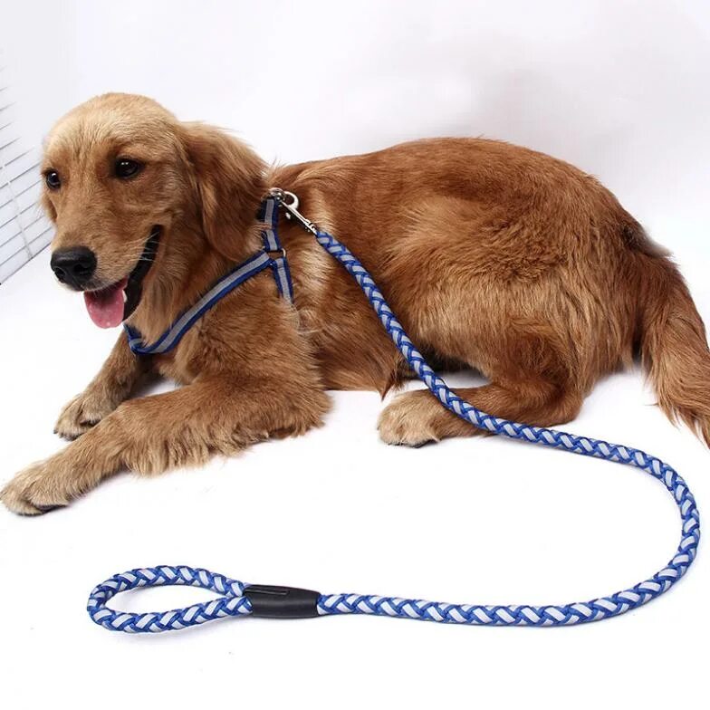 Pet items. Ferplast Sport Dog ошейник. Собака на веревочке. Поводок веревка для собак. Канат для собак.