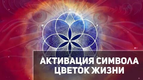 Цветок жизни том 2