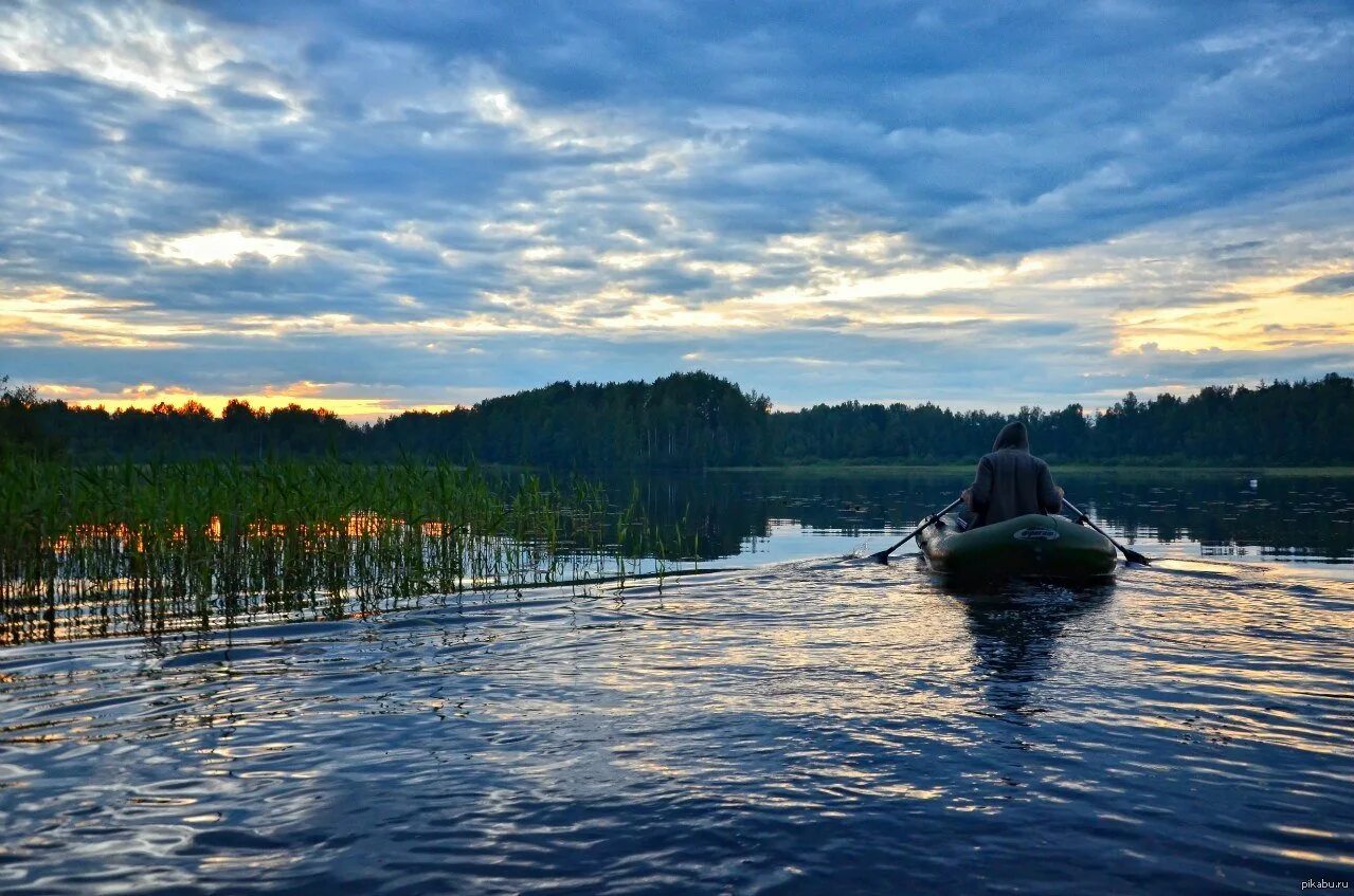 яки в приозерском районе. ларионово приозерский район ленинградская. поселок починок приозерский район. яки в приозерском районе. звери ленинградской области.