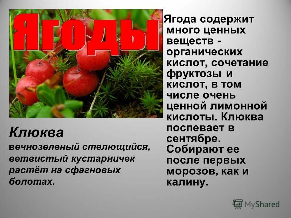 Фруктово-ягодные полуфабрикаты. Витамины в фруктах и ягодах. Ягоды фото. Фрукты и ягоды. Ягоды содержат.