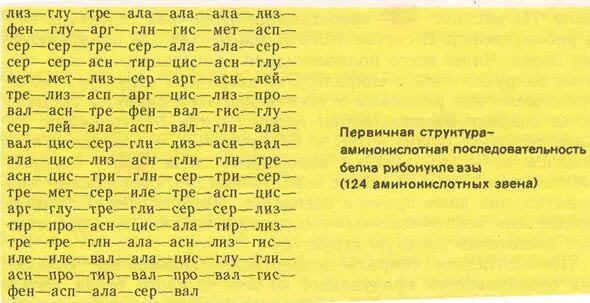 Ала ала ала восточная. Тир-цис-гли-вал-глу. Глу цис Лиз. Фен-вал-цис. Тре АСП гли вал.