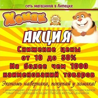 Хомяк часы работы